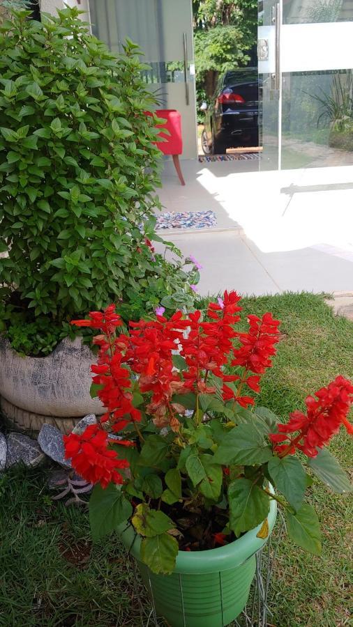 Casal Ostara Begonia Hotel Alto Paraiso de Goias Exterior photo